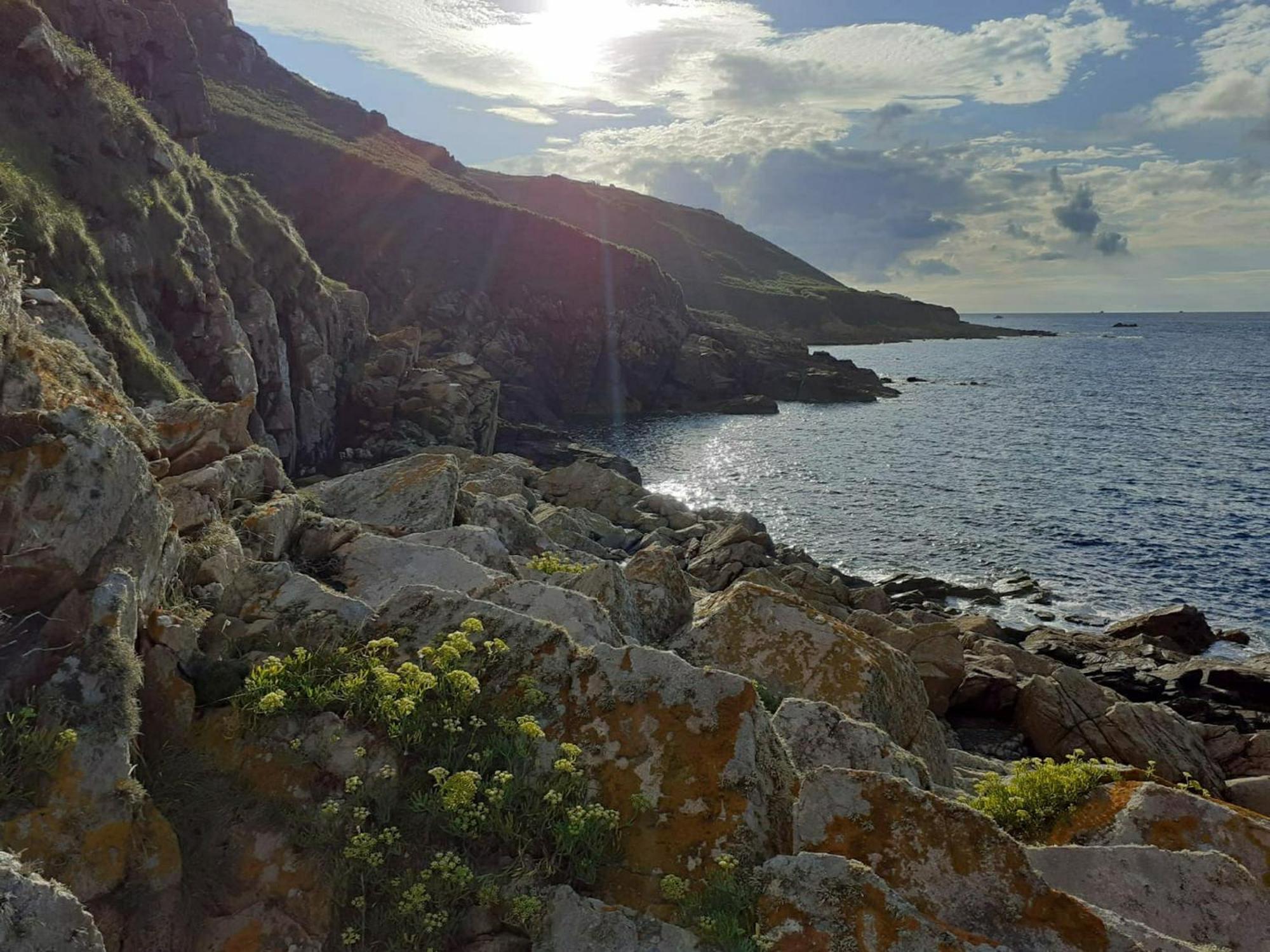 Maison Cosy Vue Mer A Guimaec 外观 照片